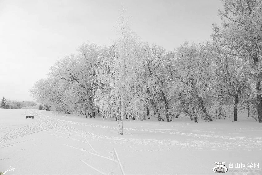IMG_6384=.jpg