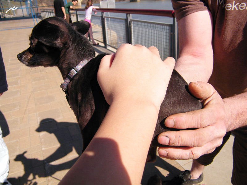 DSCF4022.JPG
