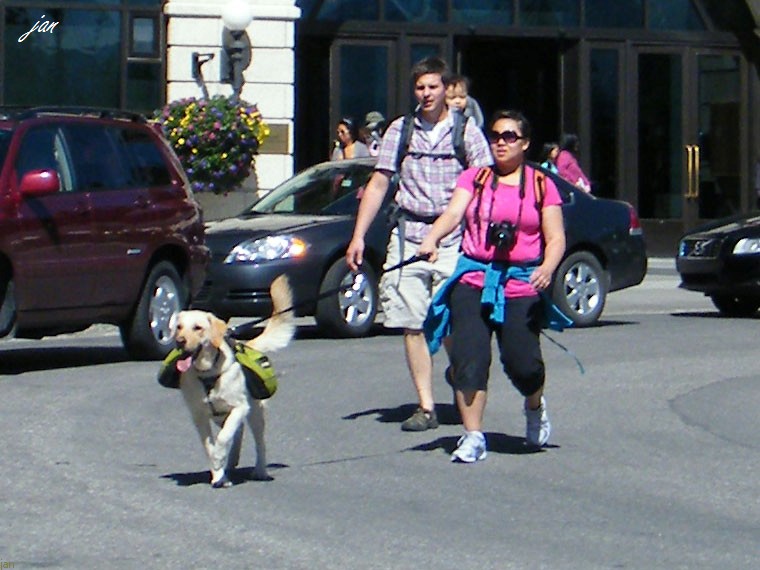 DSCF4132=0.jpg