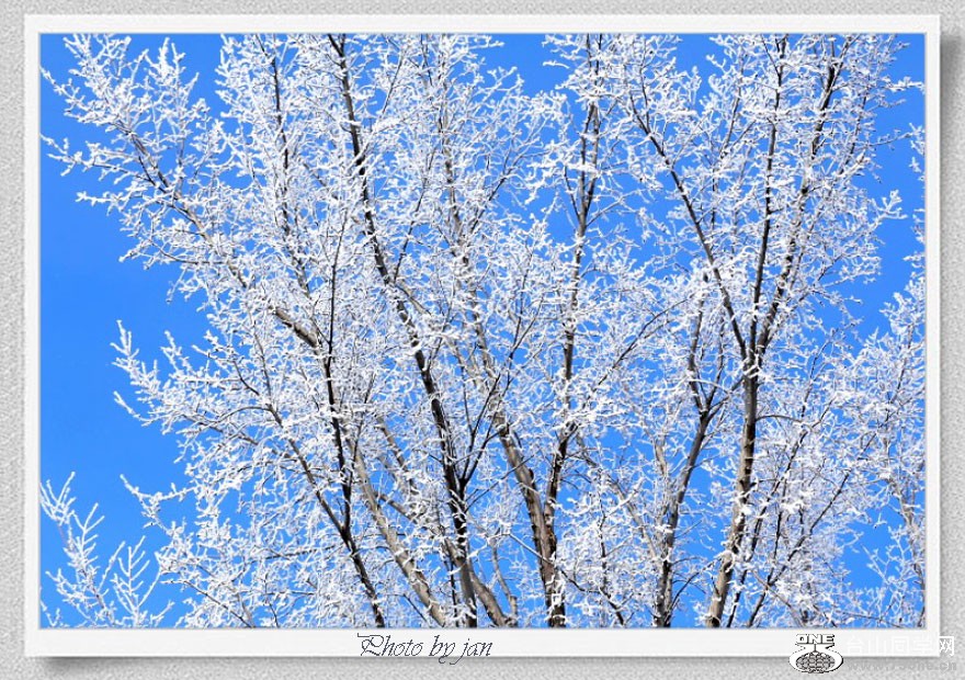 IMG_8362=.jpg