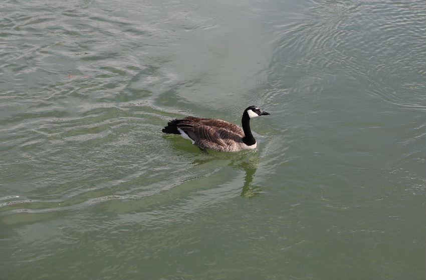 IMG_1406.JPG