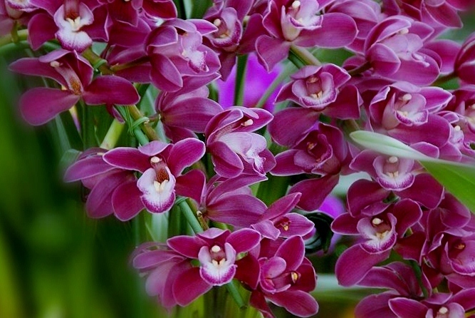 201093221742.jpg