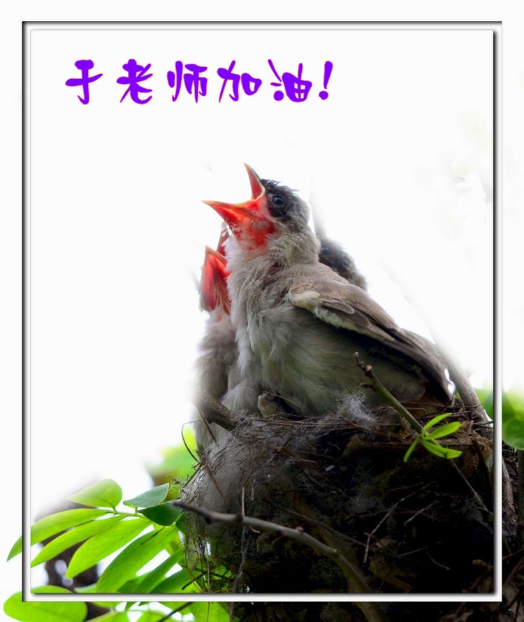 DSC_0960_conew1.jpg