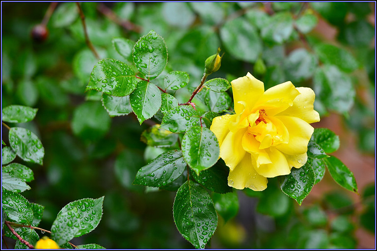 DSC_3061.jpg