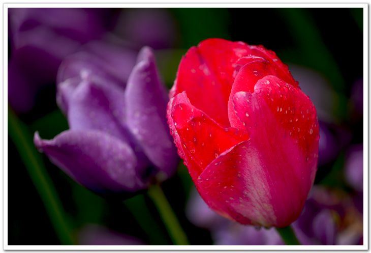 nEO_IMG_DSC_3971.jpg