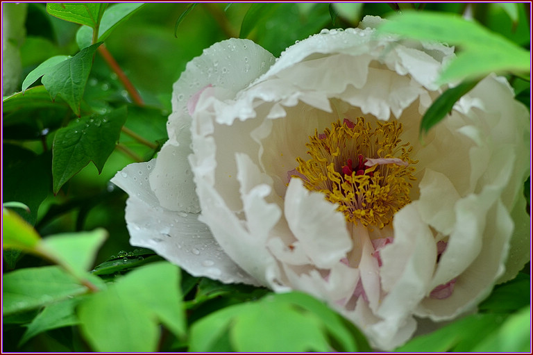 DSC_1710.jpg