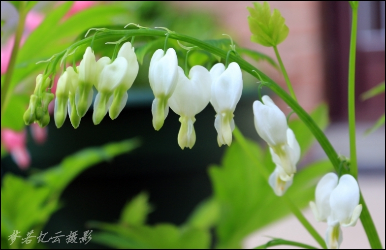 img_0001_conew2-1.jpg12.jpg