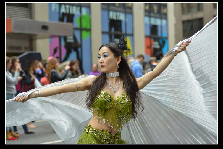 DSC_6800.jpg