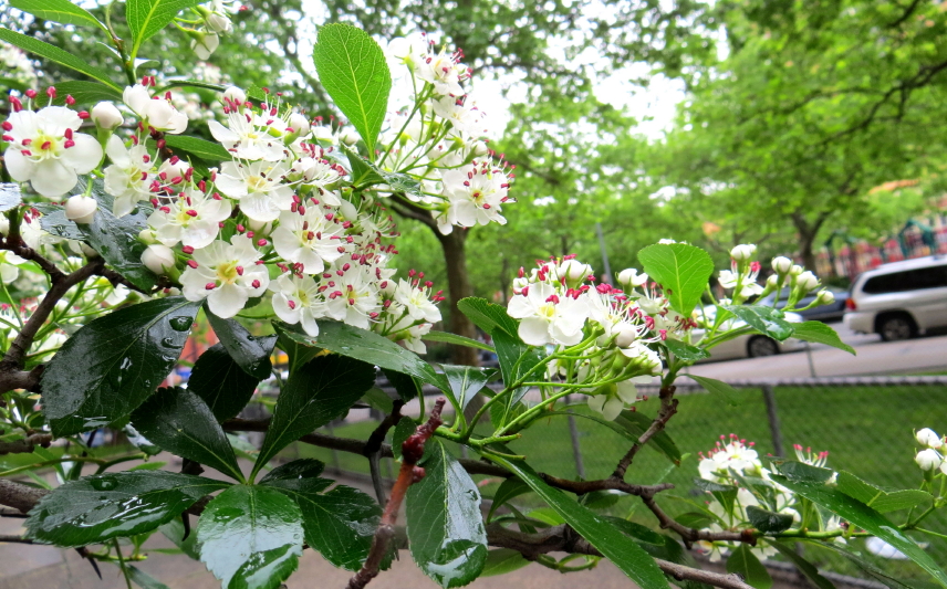 IMG_0001_3251.jpg