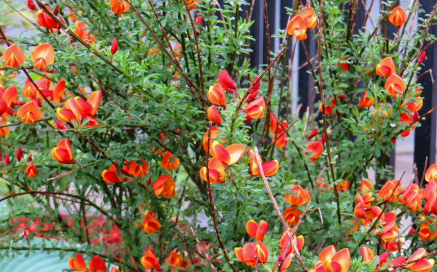IMG_0001_3273.jpg