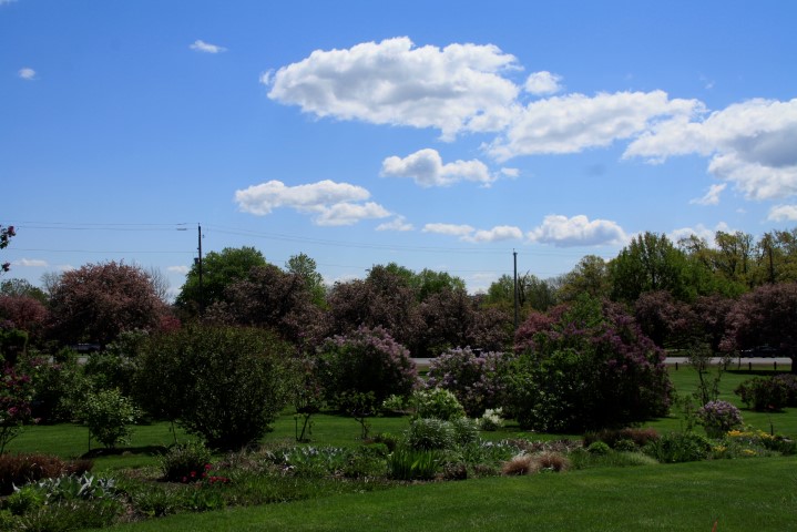_MG_0161 (Small).JPG