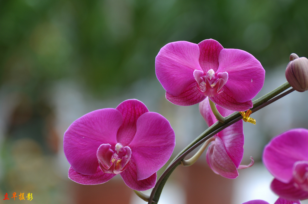 DSC_6170.JPG