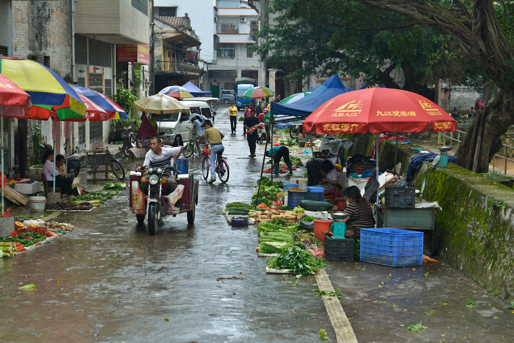 DSC_8832.jpg