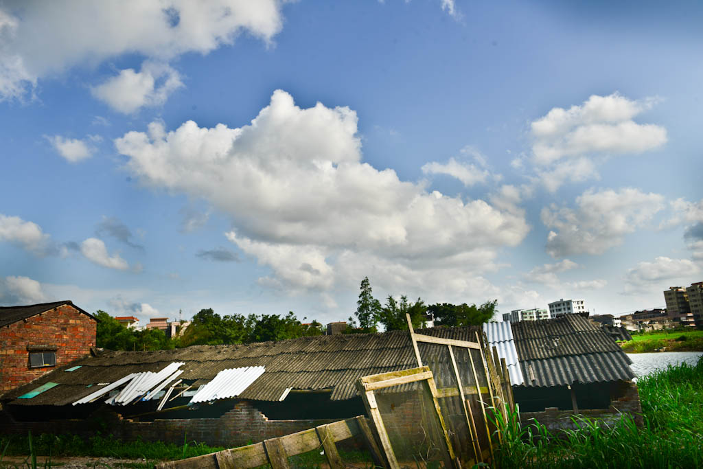 DSC_4953.jpg