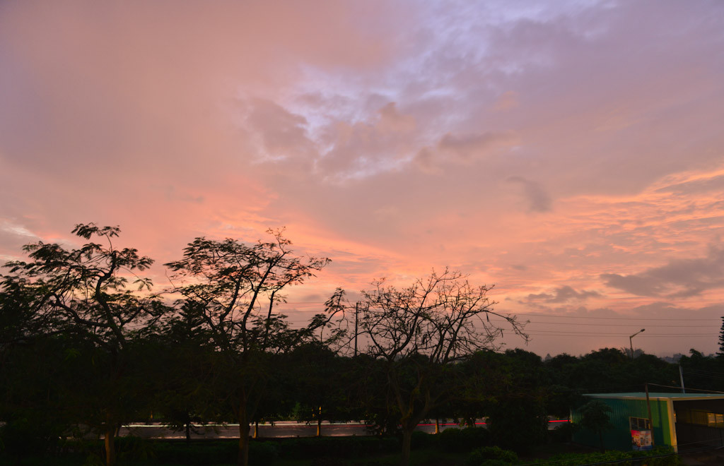 DSC_8765.jpg