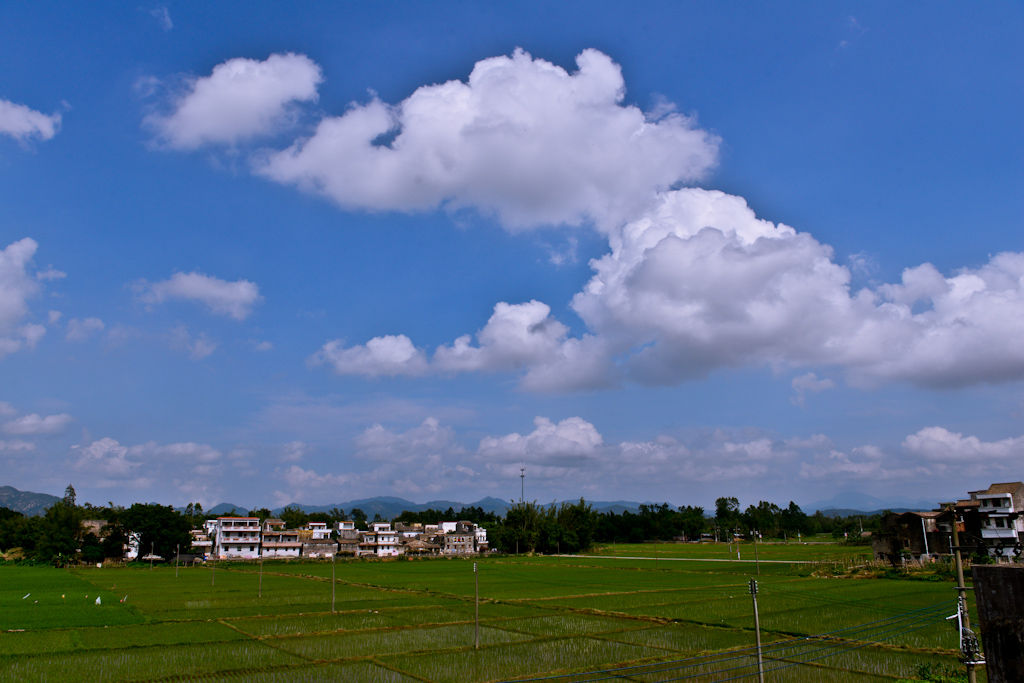 DSC_0731.jpg