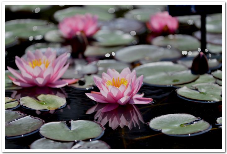 nEO_IMG_DSC_5881.jpg