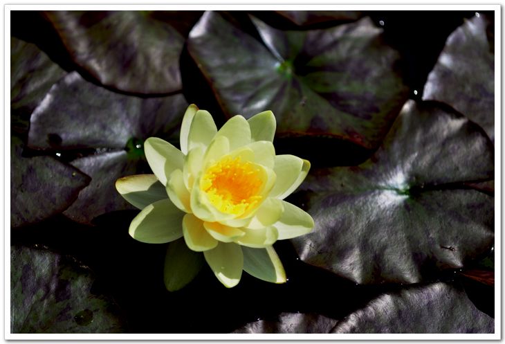 nEO_IMG_DSC_5894.jpg