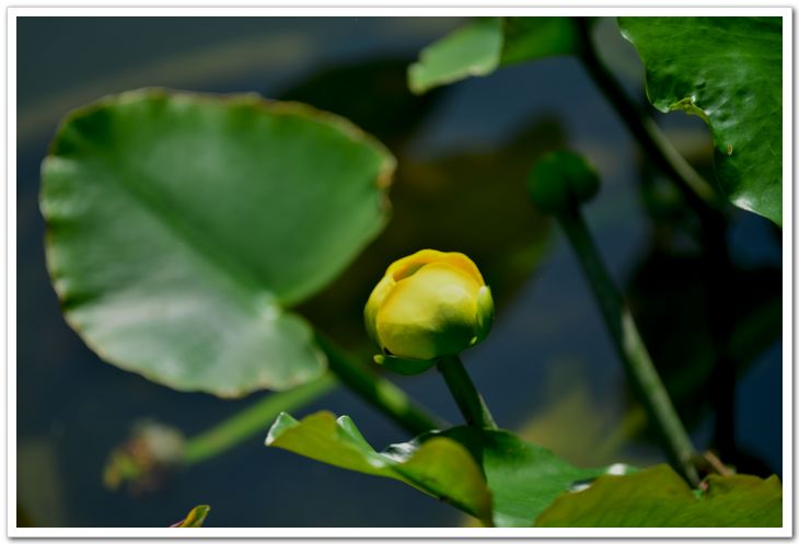 nEO_IMG_DSC_5887.jpg
