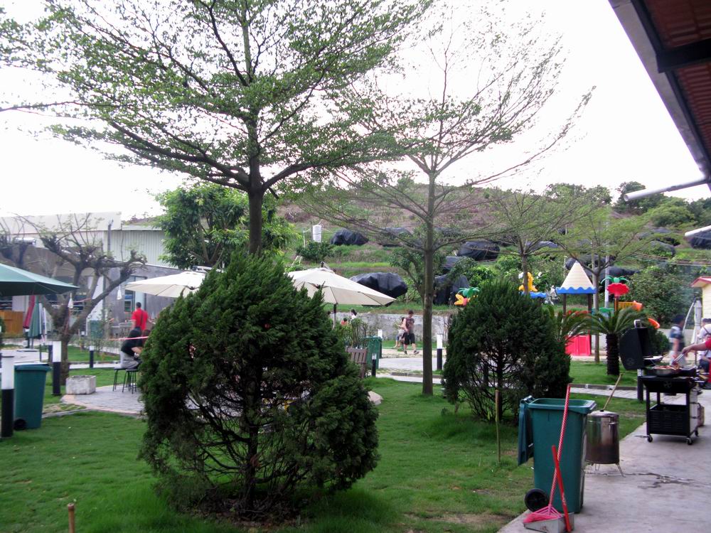 IMG_3380.JPG