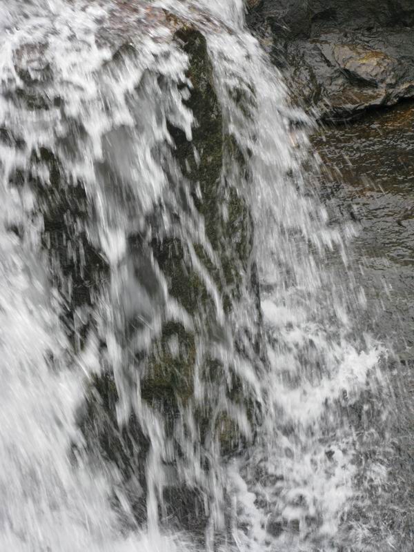 IMG_2666.JPG