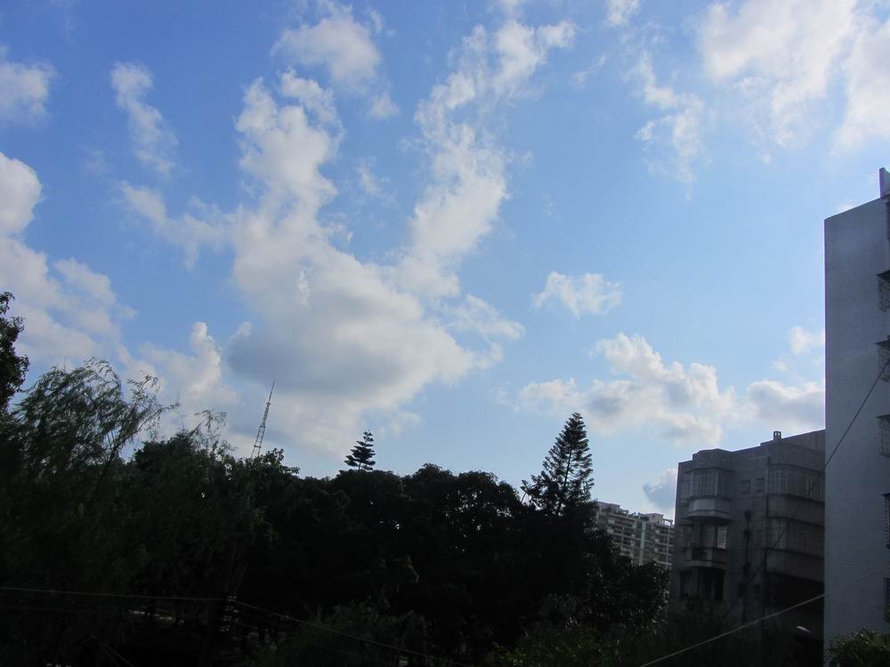 IMG_5622.JPG