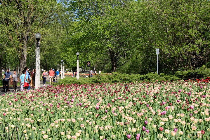 _MG_0230 (Small).JPG