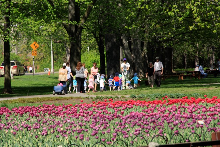 _MG_0237 (Small).JPG