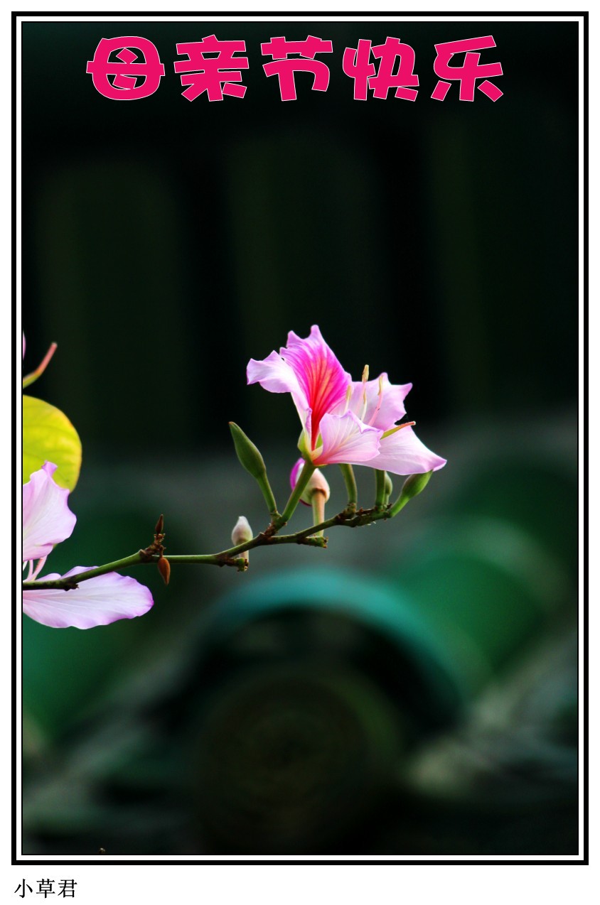 IMG_8908_conew2.jpg