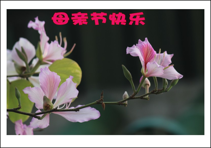 IMG_8907_conew2.jpg