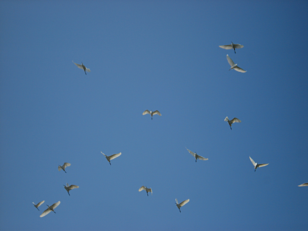 DSC00144.jpg