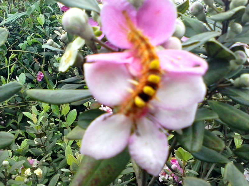 IMG_20130517_105127712_.jpg