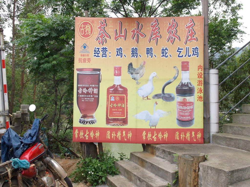 DSCF1267.jpg