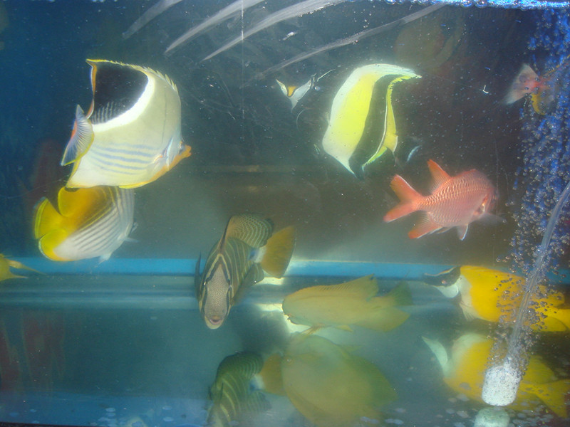 DSC01572_.jpg