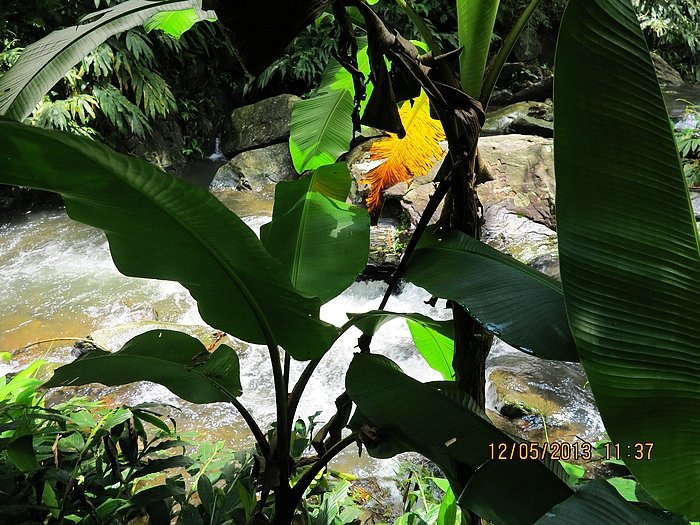IMG_0251.JPG