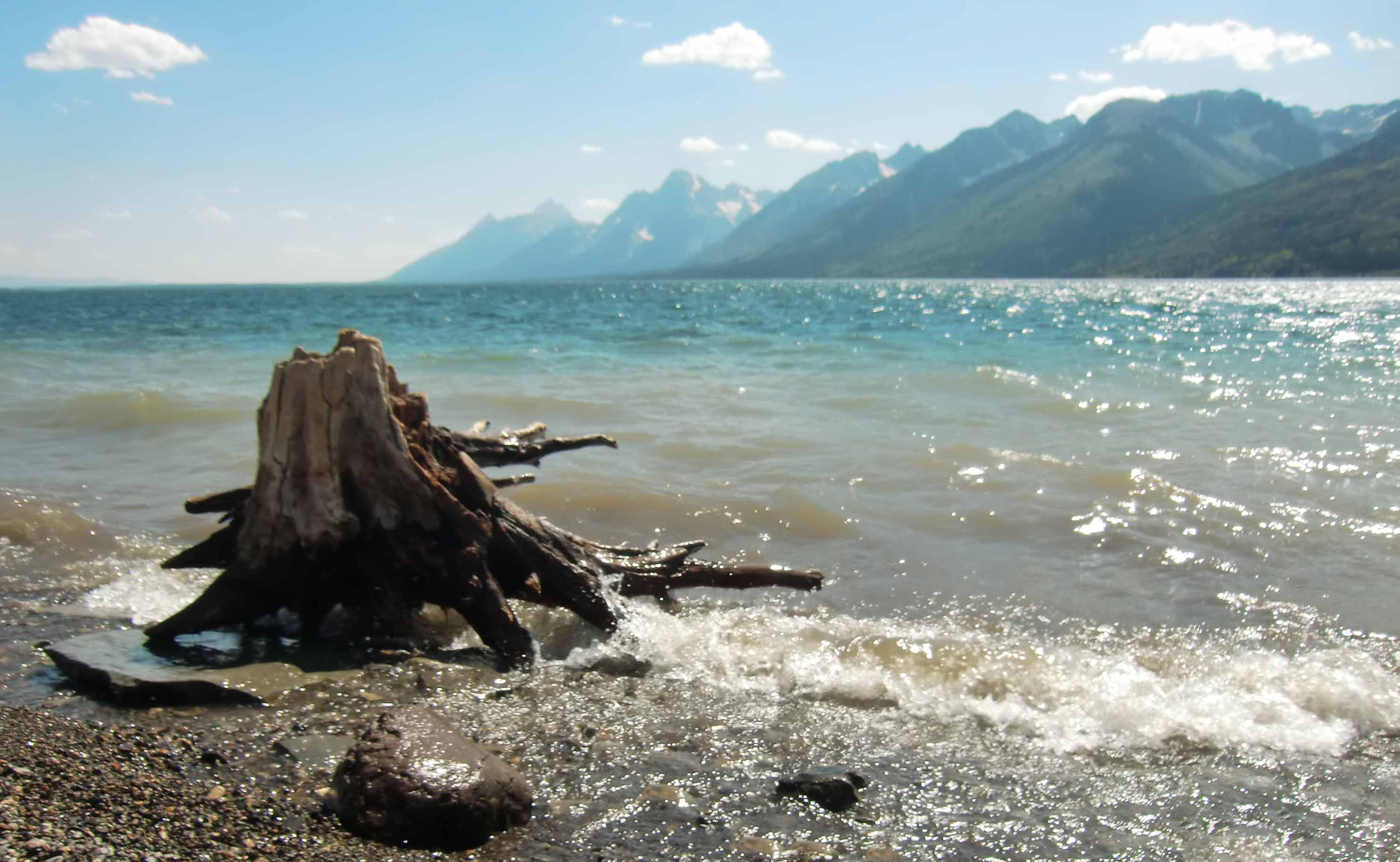 Grand Teton National Park 6.jpg