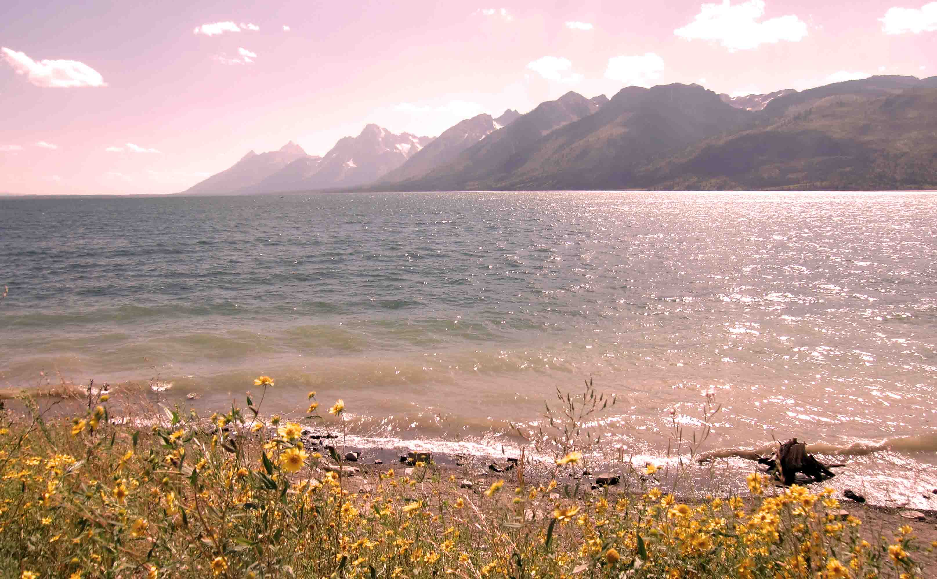 Grand Teton National Park 4.jpg