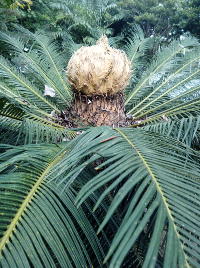 QQͼ20130530165350.png