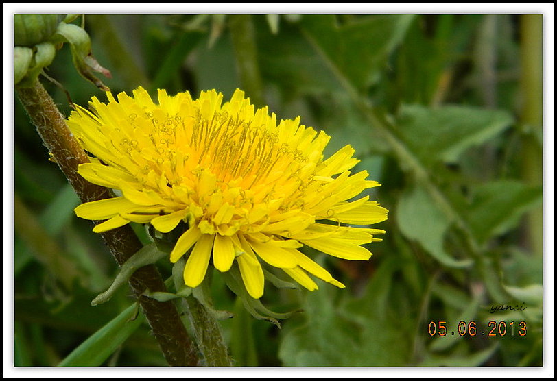 DSCN0936.JPG