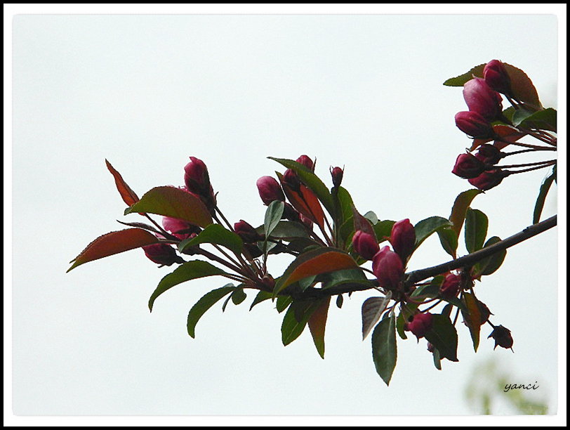 DSCN0953.JPG