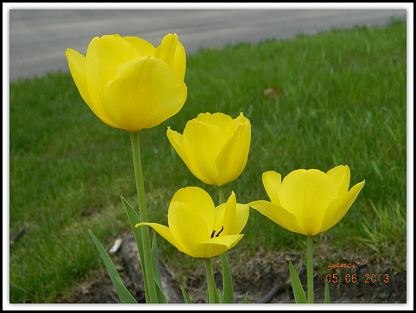 DSCN0946.JPG