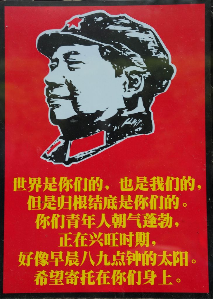51.jpg