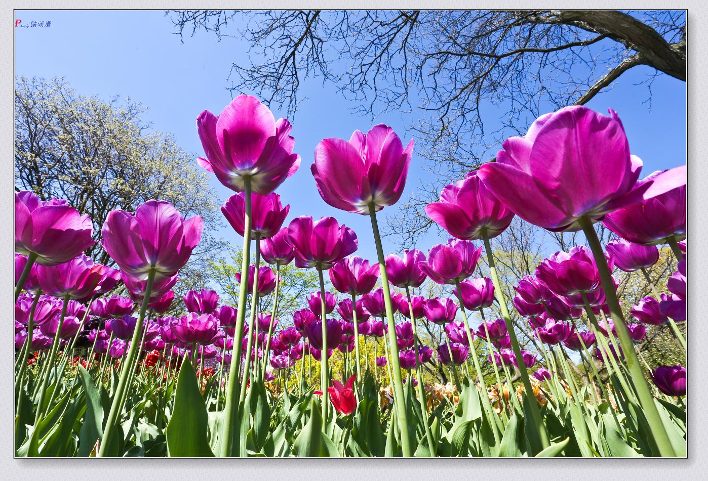 �}�u -44-100.jpg