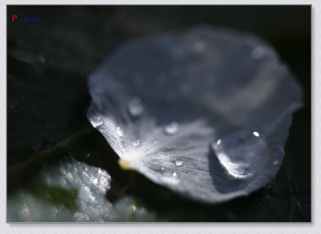 �}�u -011-035-1.jpg