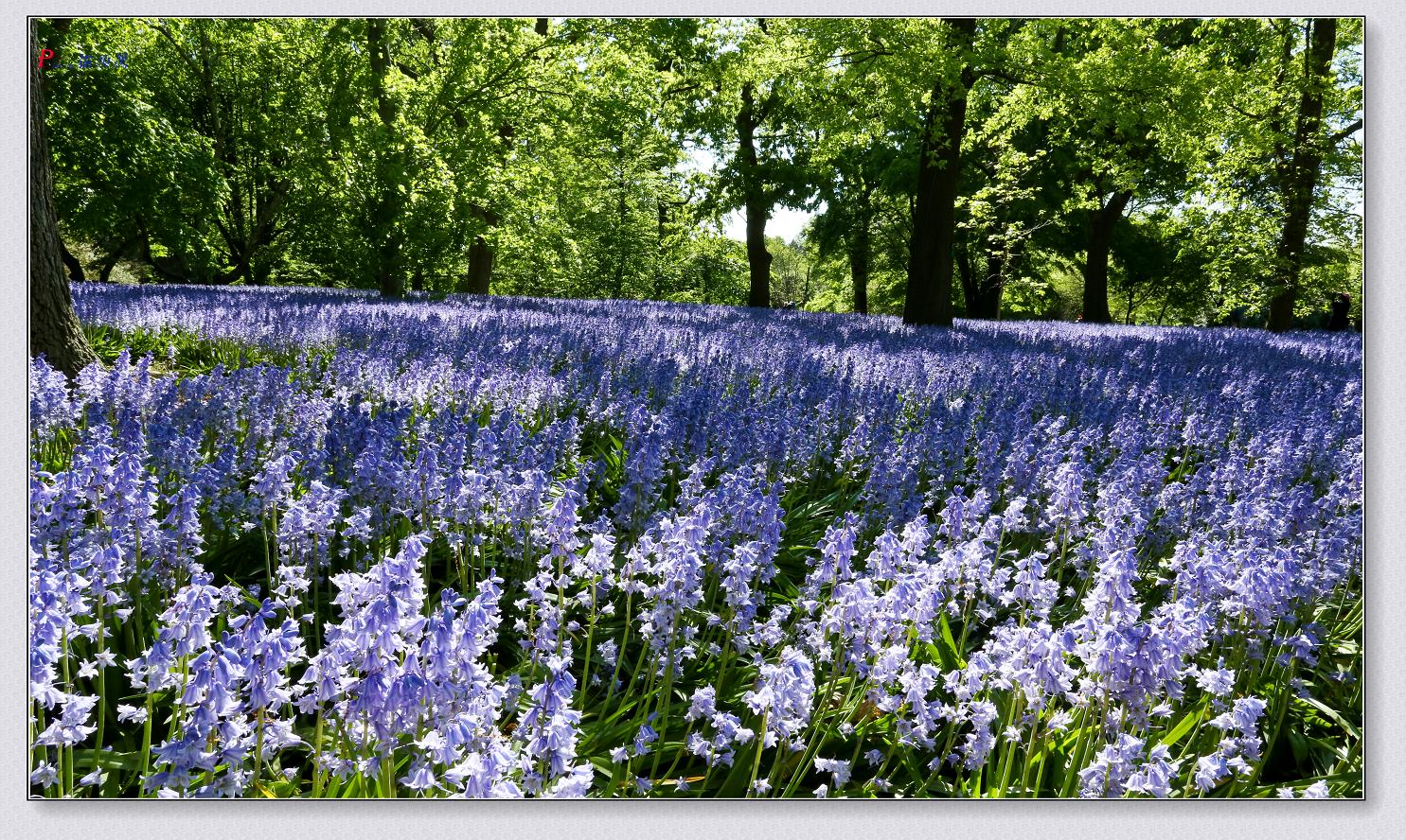 �}�u -70-118-1.jpg