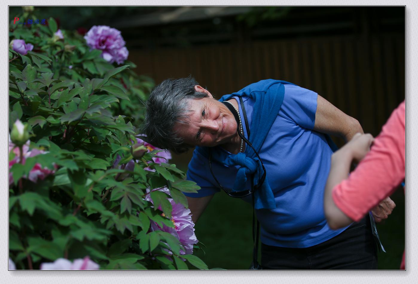 �}�u -65-077.jpg