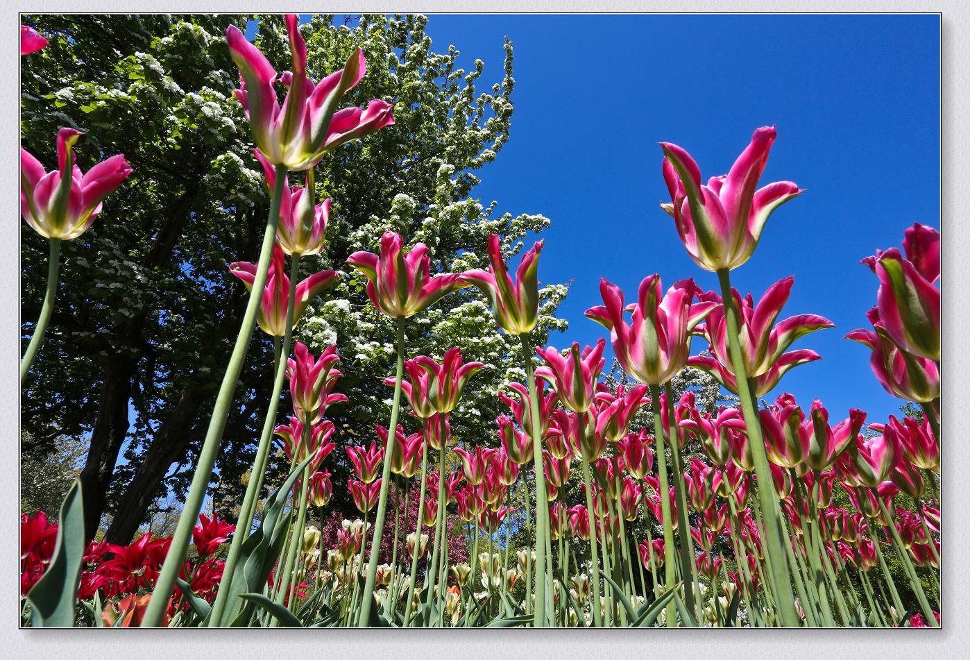 �}�u -53-090.jpg