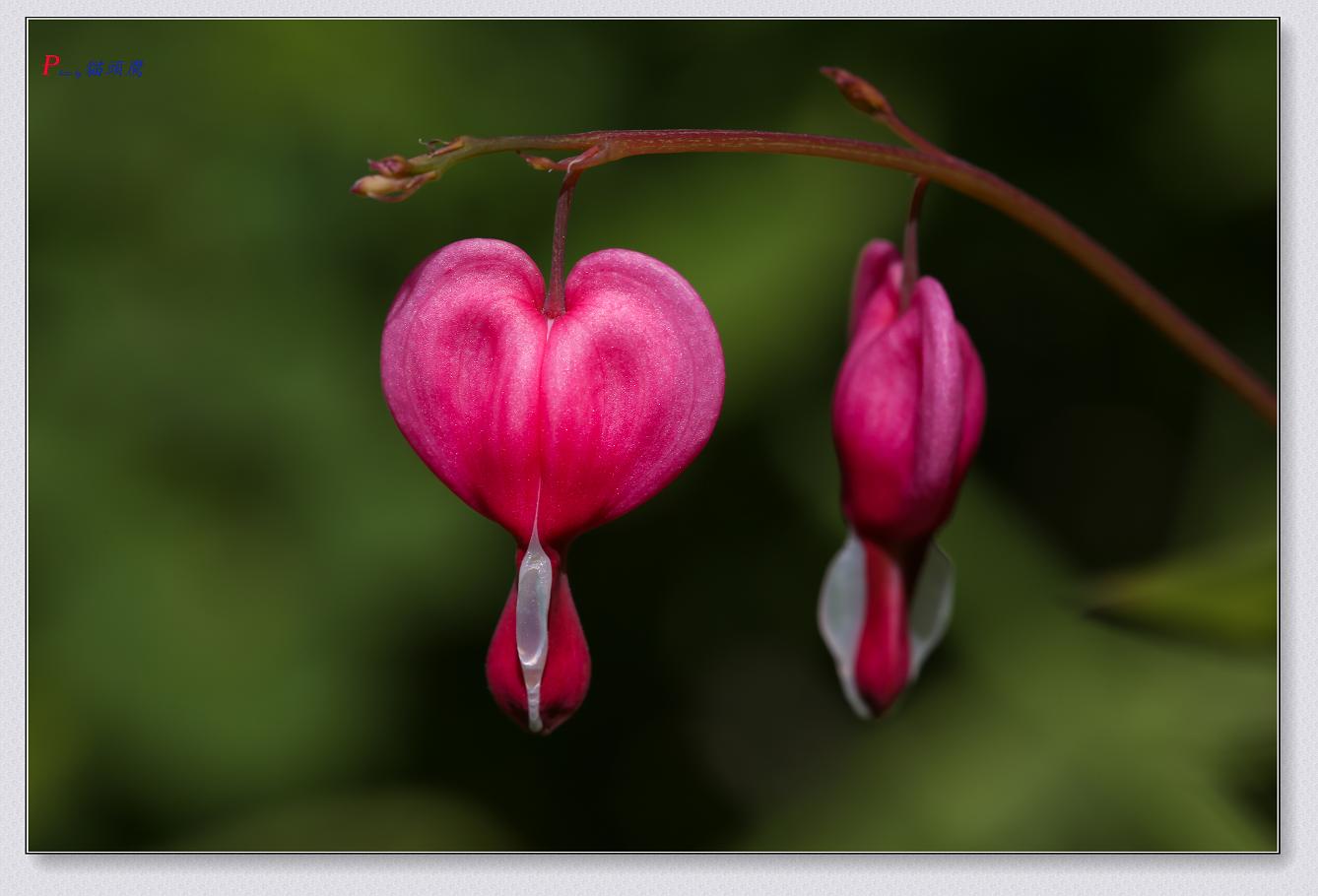 �}�u -45-145-1.jpg