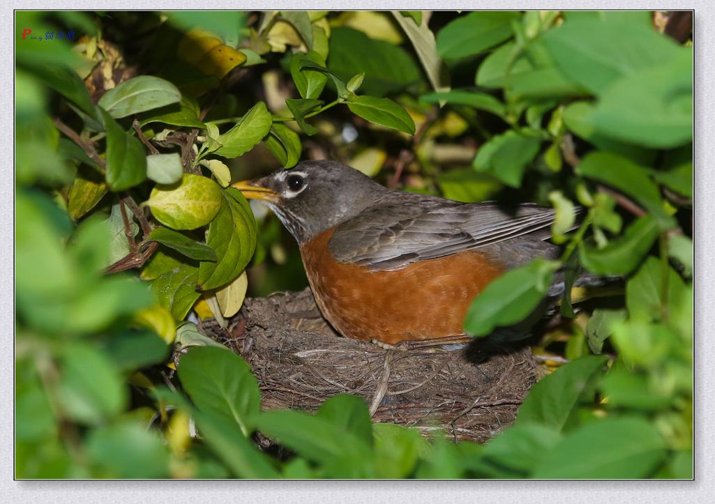 �}�u -74-094-1.jpg