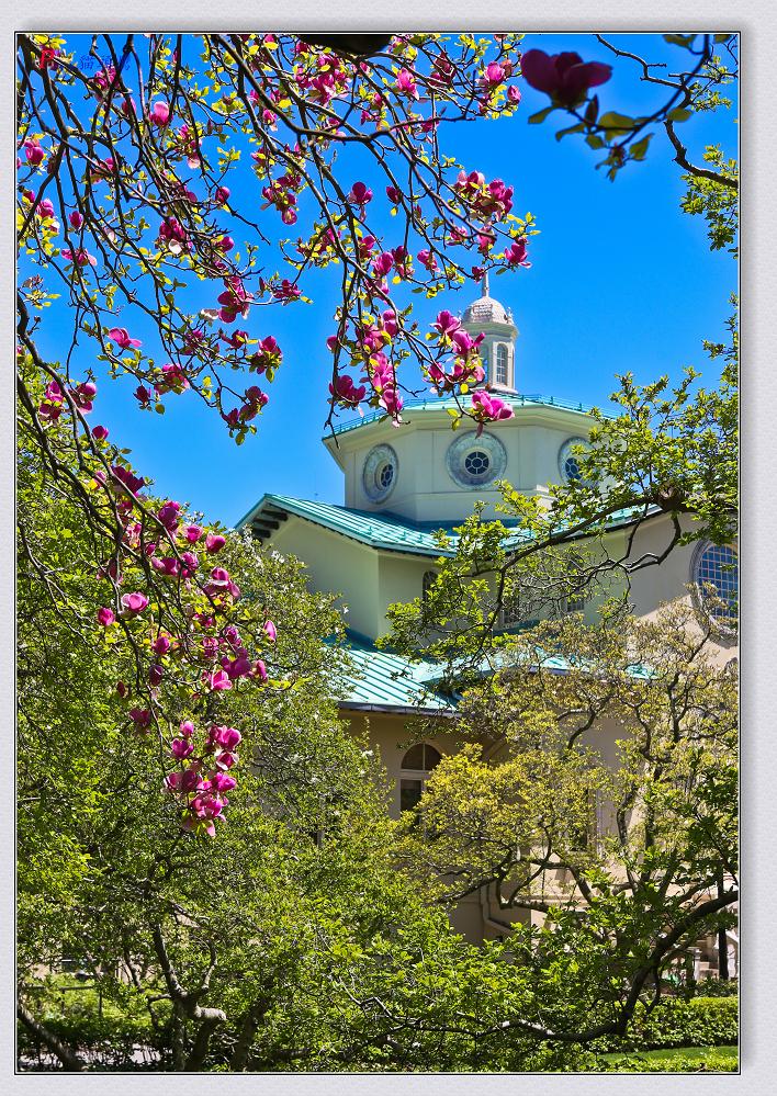 �}�u -31-103-2.jpg